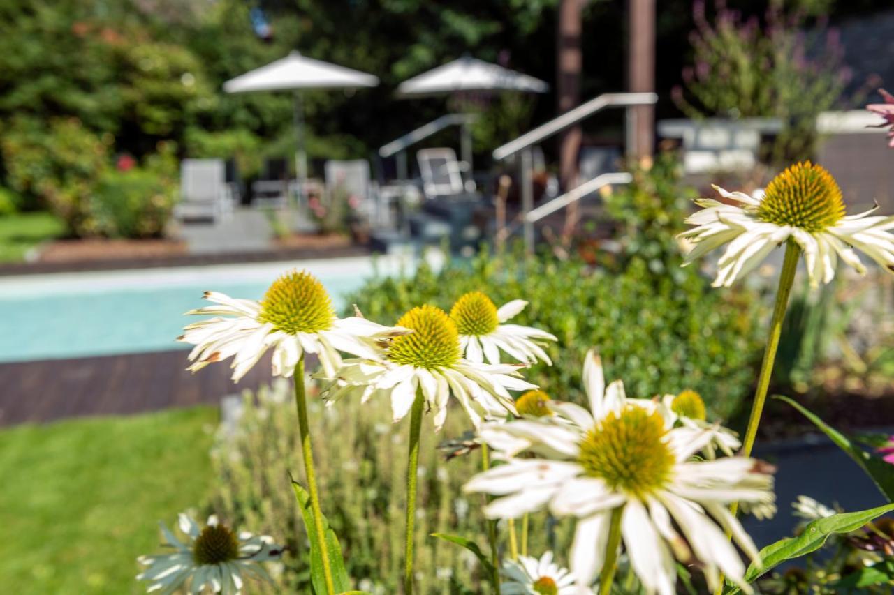 Ferienhotel Haus Becker Bad Laer Esterno foto